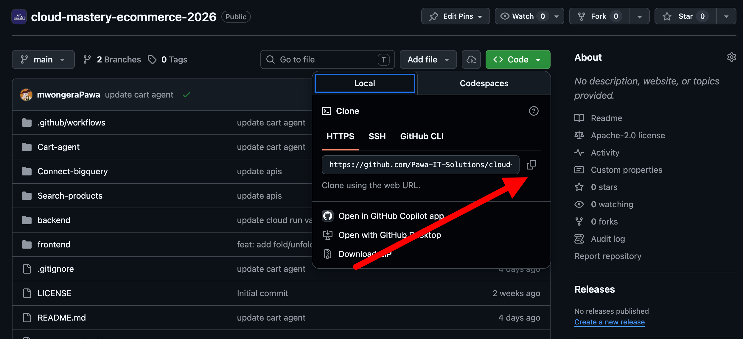 Cloning the repository