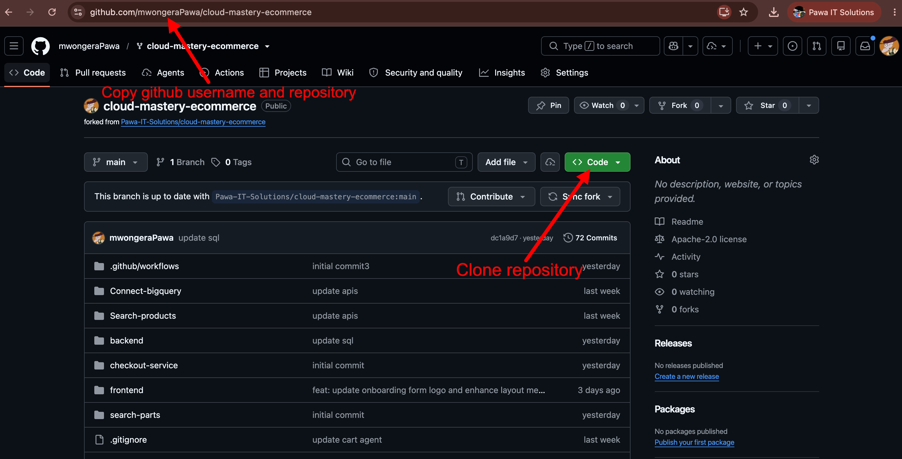 Copy the repository clone URL