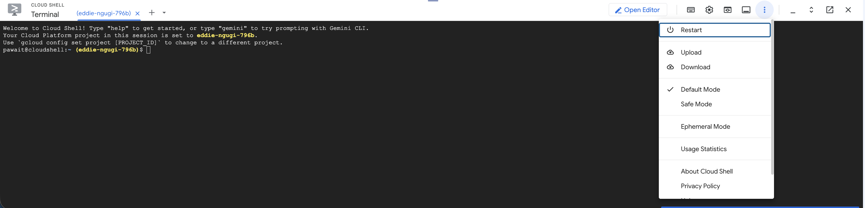 Upload script to Cloud Shell