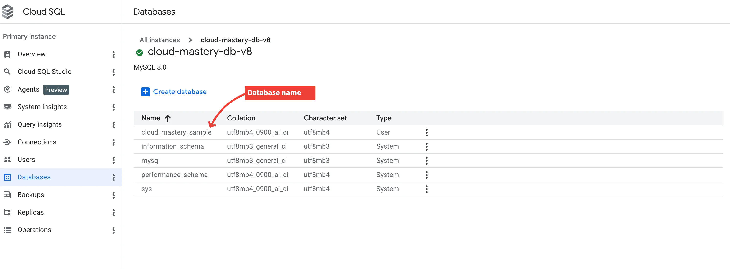 Created database instance
